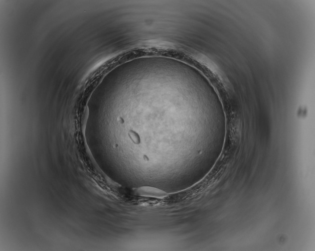 X0000098111112200804041337