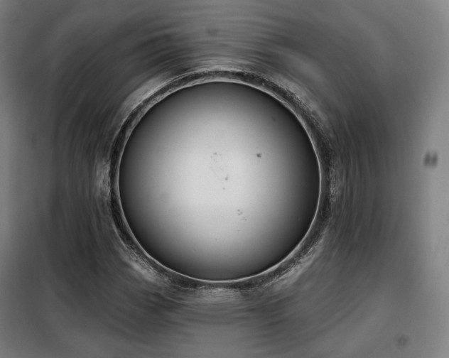 X0000098111113200804041337