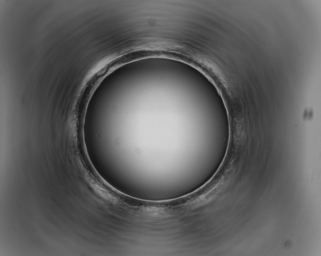 X0000098111114200804041337