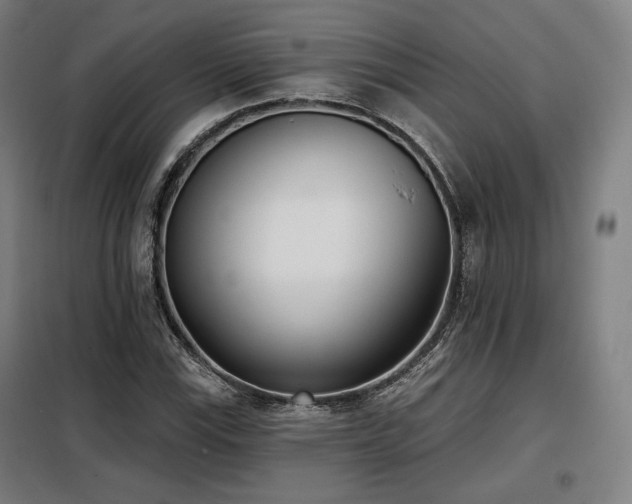 X0000098111115200804041337