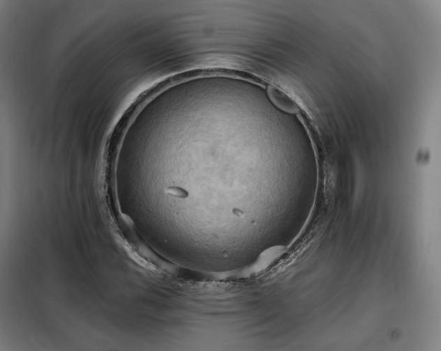 X0000098111116200804041337