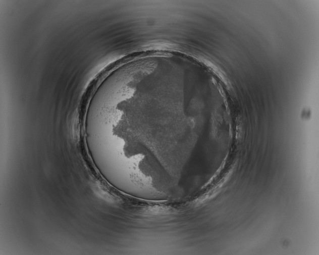 X0000098111117200804041337