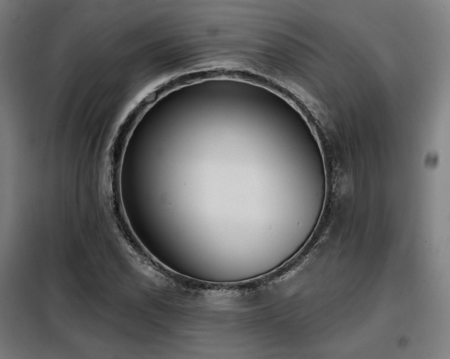X0000098111118200804041337