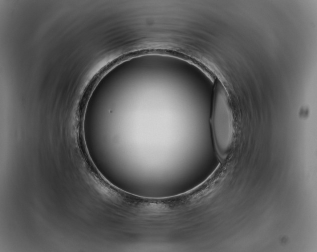 X0000098111119200804041337