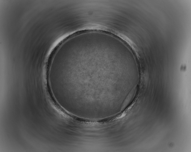 X0000098111120200804041337