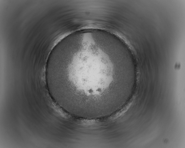 X0000098111121200804041337