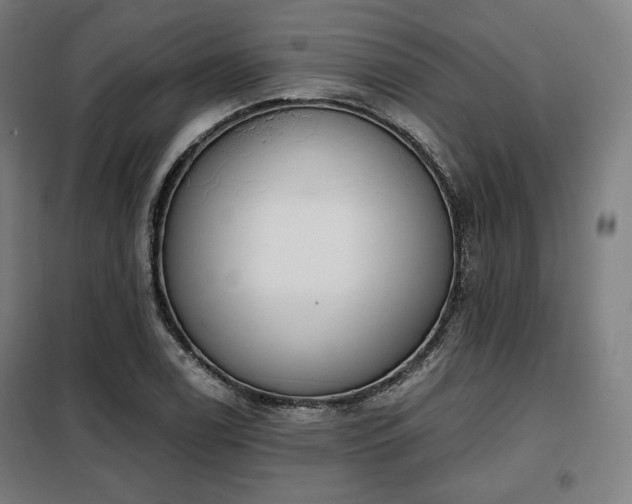 X0000098111122200804041337