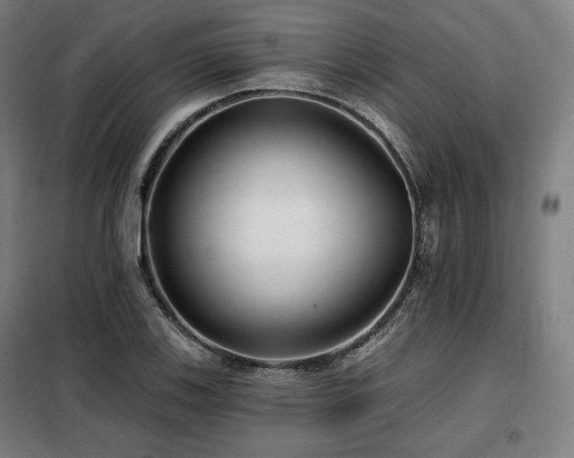 X0000098111123200804041337