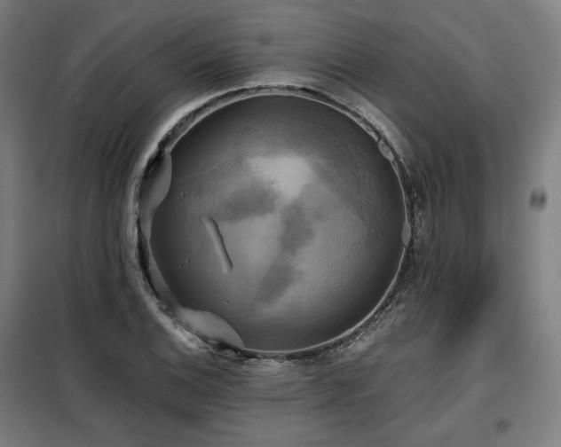 X0000098111124200804041337
