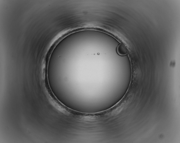 X0000098111126200804041337