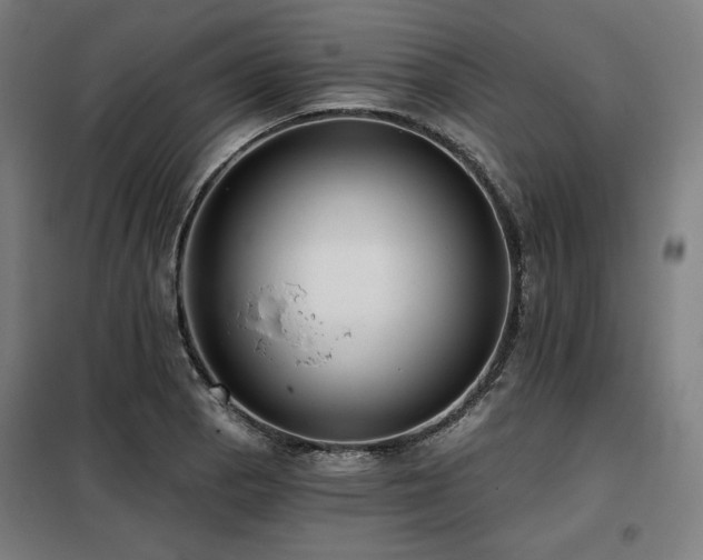 X0000098111129200804041337