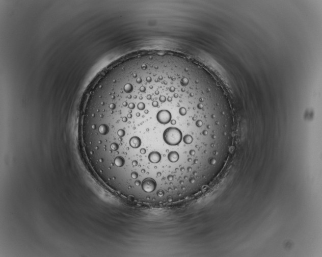 X0000098111130200804041337