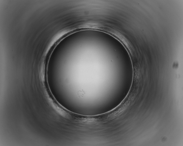 X0000098111131200804041337