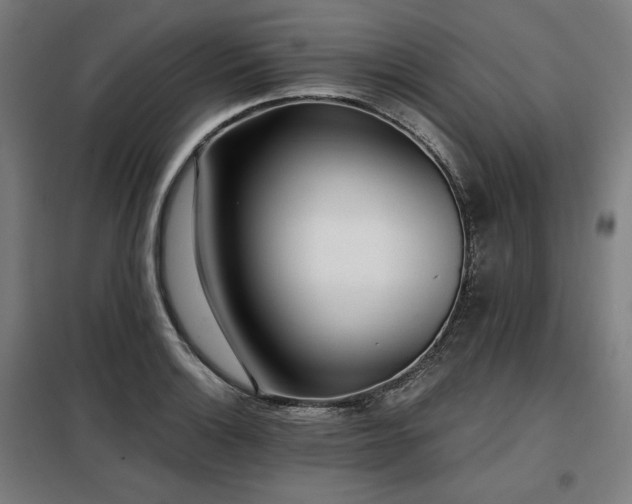 X0000098111132200804041337