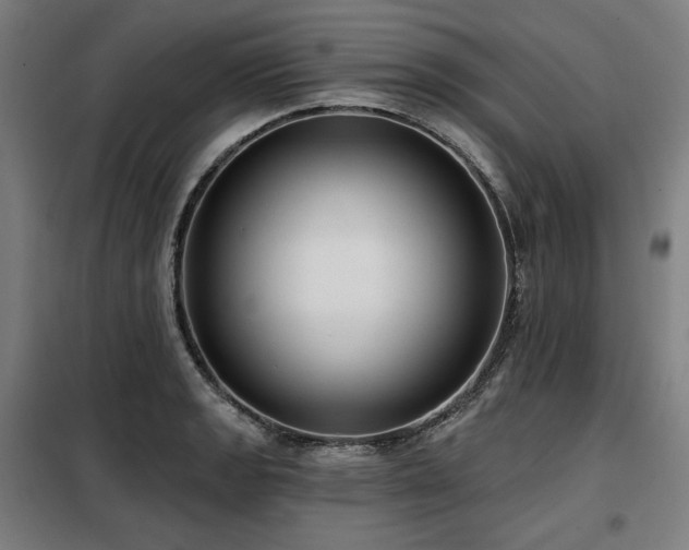X0000098111133200804041337