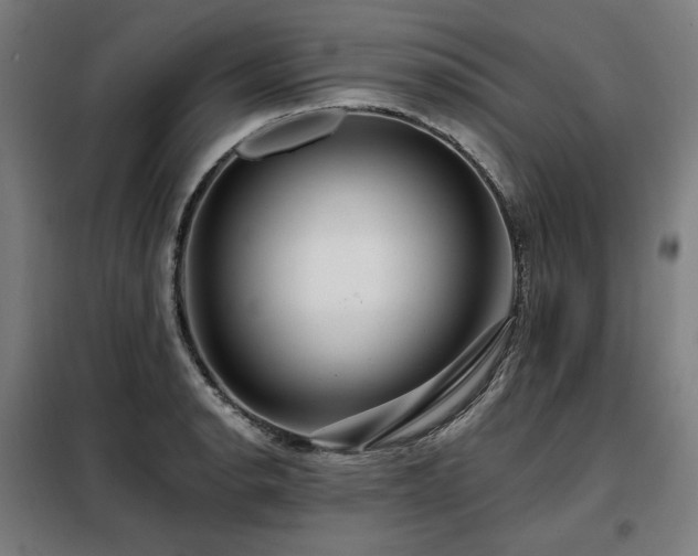 X0000098111134200804041337