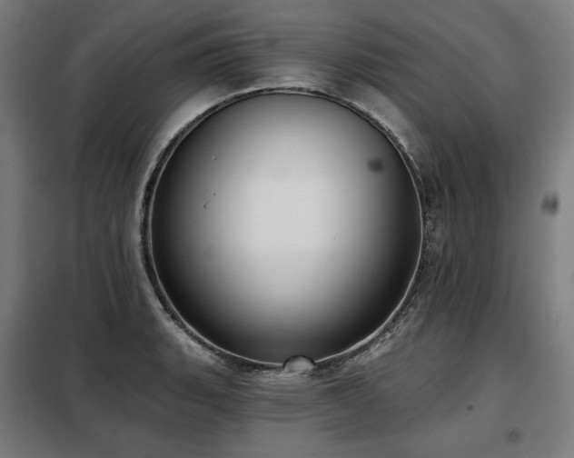 X0000098111135200804041337