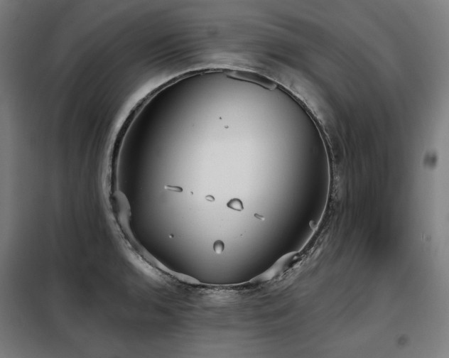 X0000098111136200804041337