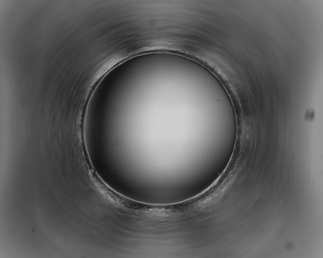 X0000098111137200804041337