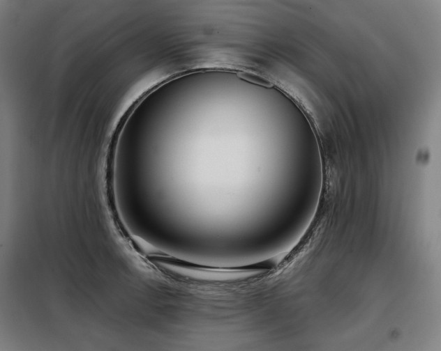 X0000098111138200804041337