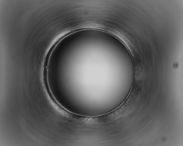 X0000098111139200804041338