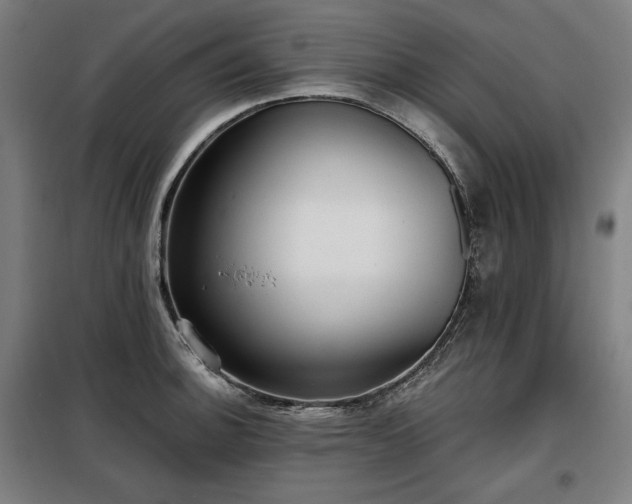 X0000098111140200804041338