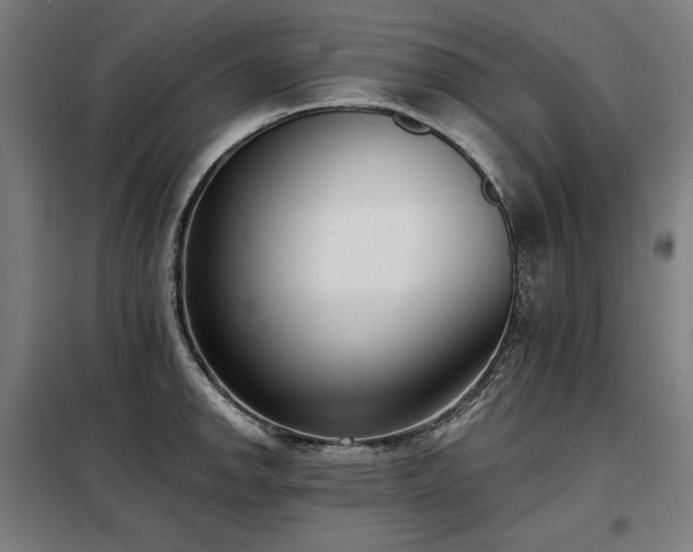 X0000098111142200804041338