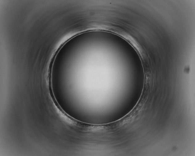 X0000098111143200804041338