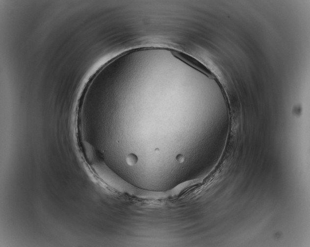 X0000098111144200804041338