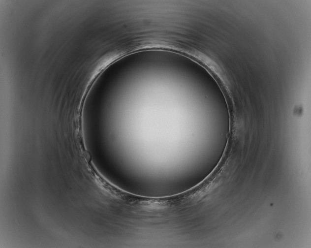 X0000098111145200804041338