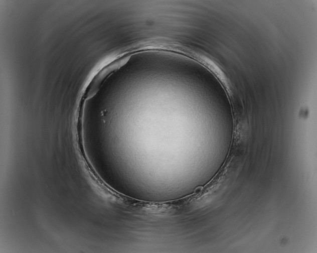 X0000098111146200804041338