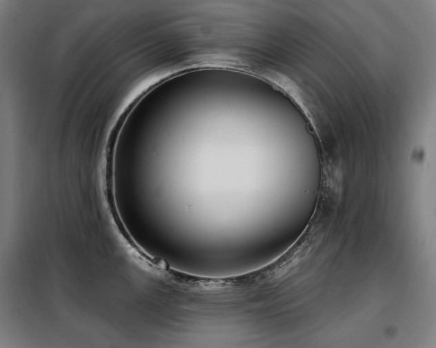 X0000098111147200804041338