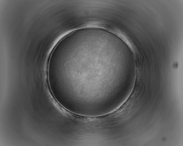 X0000098111148200804041338