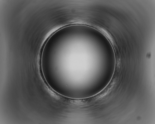 X0000098111149200804041338