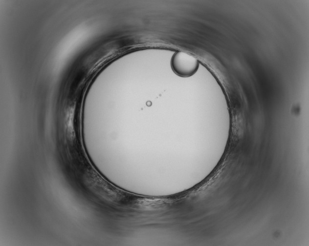 X0000098111150200804041338