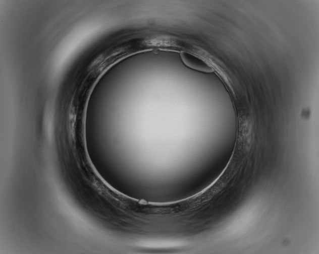 X0000098111151200804041338