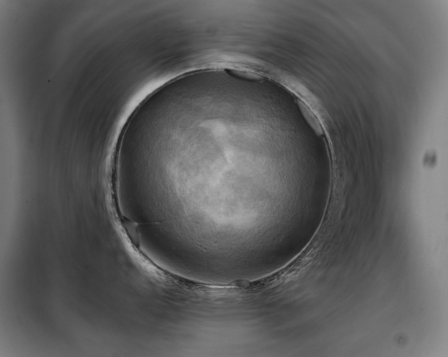 X0000098111152200804041338