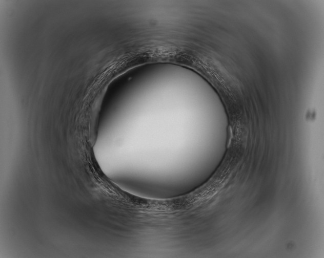 X0000098111153200804041337