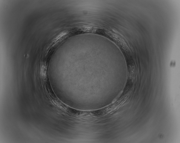 X0000098111154200804041337