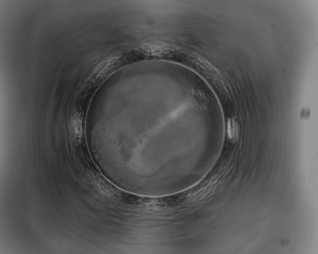 X0000098111155200804041337