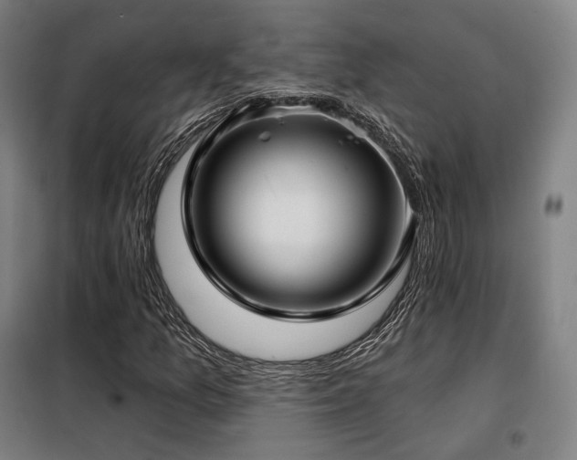 X0000098111157200804041337