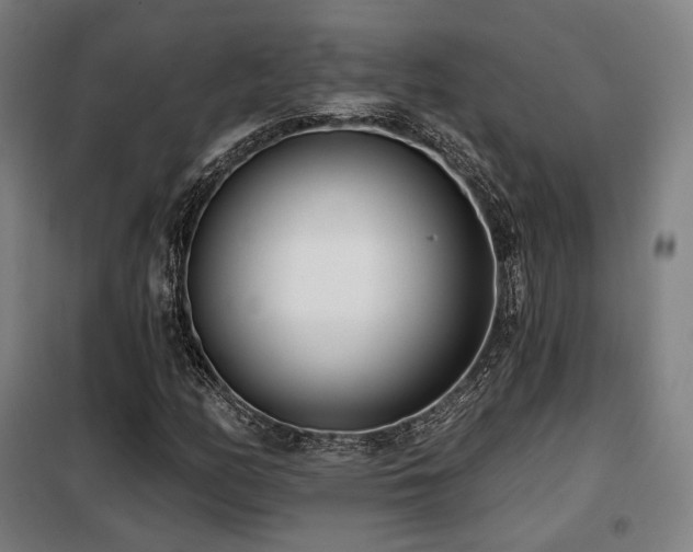 X0000098111158200804041337