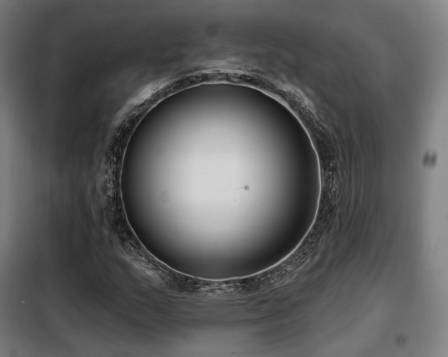 X0000098111159200804041337