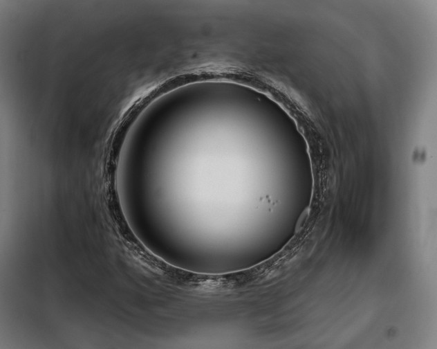 X0000098111160200804041337