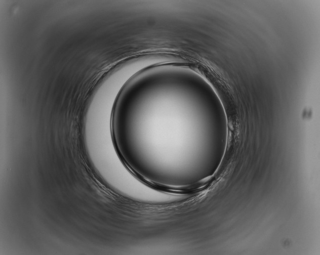 X0000098111161200804041337