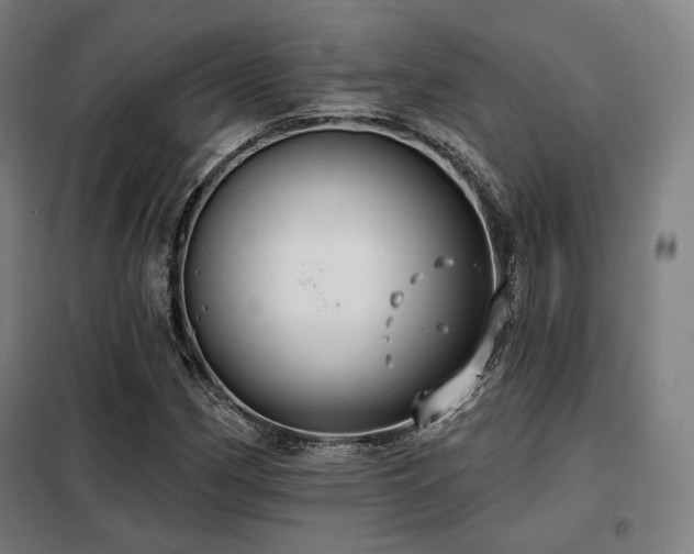 X0000098111162200804041337