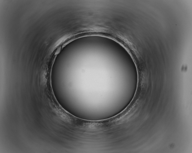 X0000098111163200804041337