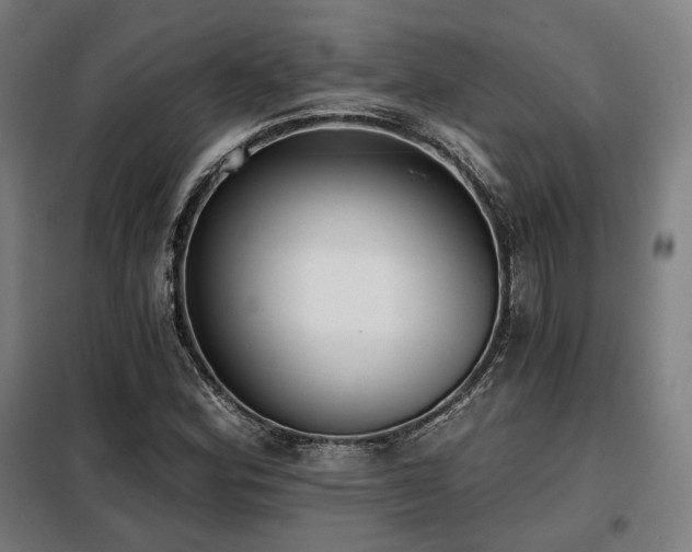 X0000098111164200804041337