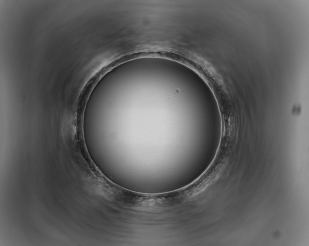 X0000098111165200804041337