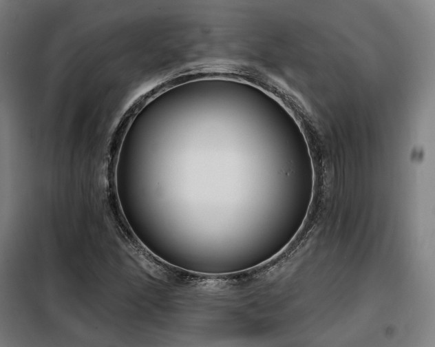 X0000098111166200804041337